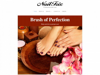 nailtrixmissoula.com snapshot