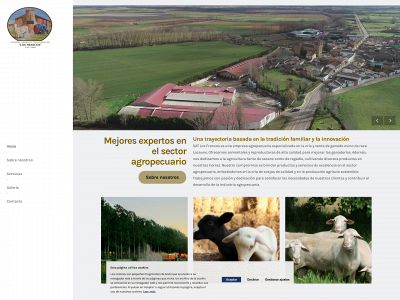 satlosfrancos.com snapshot