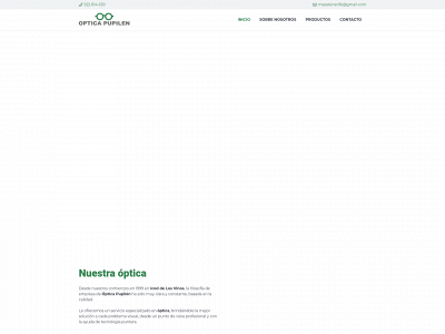 opticapupilen.es snapshot