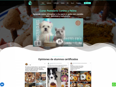 educapatitas.com snapshot