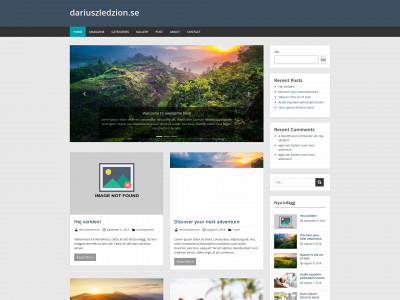 dariuszledzion.se snapshot