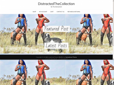 distractedthecollection.com snapshot