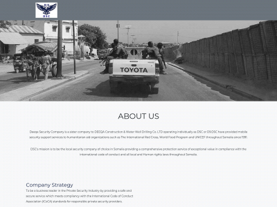dscsecurity.info snapshot