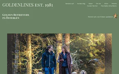 kennelgoldenlines.se snapshot