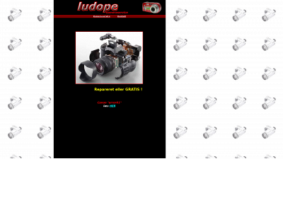 ludope.dk snapshot