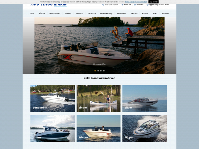 tido-lindomarin.se snapshot