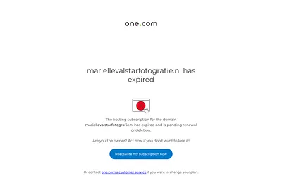 mariellevalstarfotografie.nl snapshot