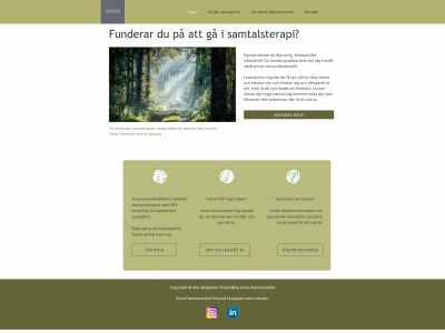 hammarskioldsamtal.se snapshot