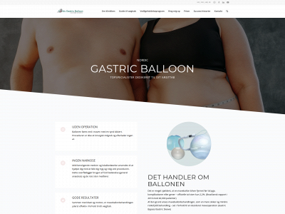 fedmeballon.dk snapshot