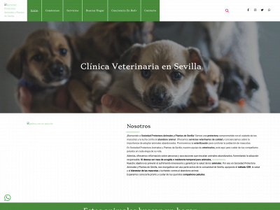 www.spapsevilla.es snapshot
