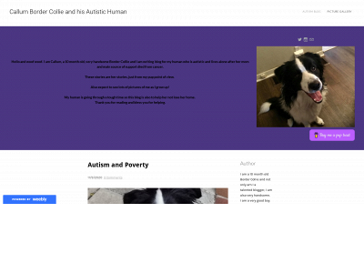 callumbordercollie.weebly.com snapshot