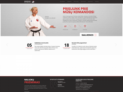 karate-do.lt snapshot