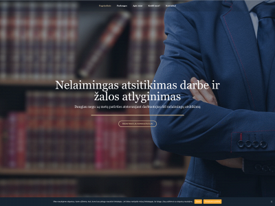 nelaimingasatsitikimasdarbe.lt snapshot