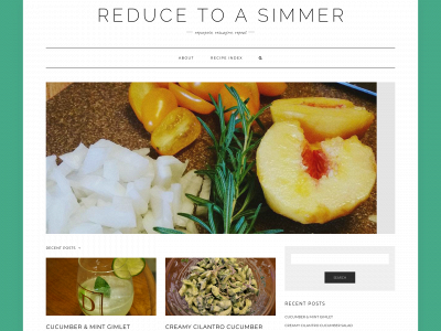 reducetoasimmer.com snapshot
