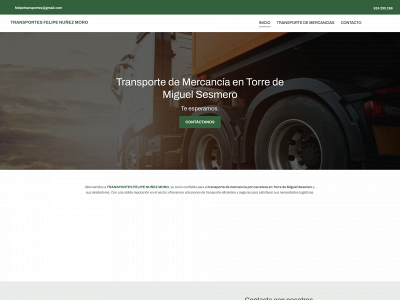 transfelipe.es snapshot