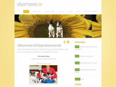 elsamaves.se snapshot