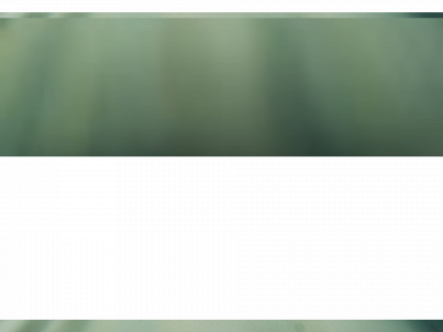 lodetgruppen.se snapshot