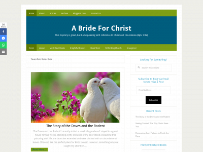 abrideforchrist.org snapshot