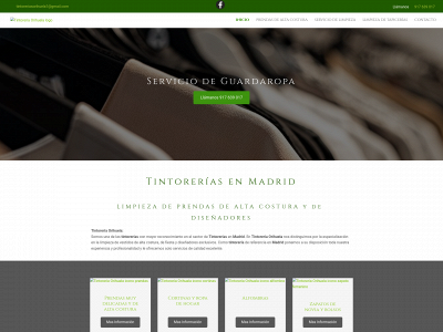 www.tintoreriasmadrid.es snapshot