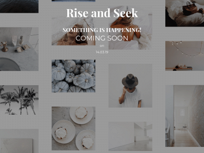 riseandseek.com snapshot