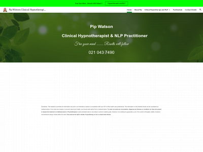 pipwatson.co.nz snapshot