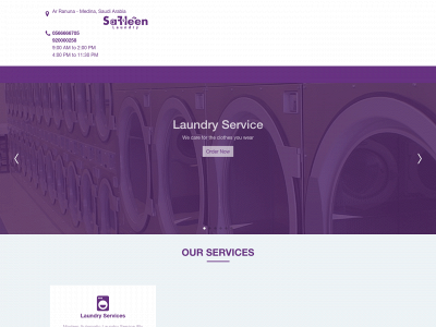 safleen.com snapshot