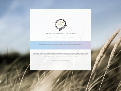 staarelise.se snapshot