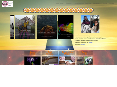 experienceconsciousliving.com snapshot
