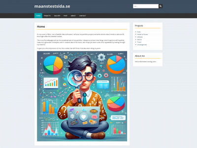 maanstestsida.se snapshot