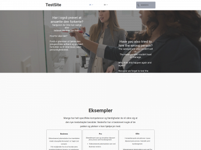 searchandselection.dk snapshot