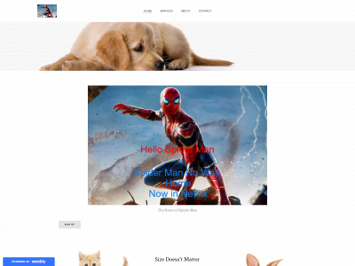 spidermind.weebly.com snapshot