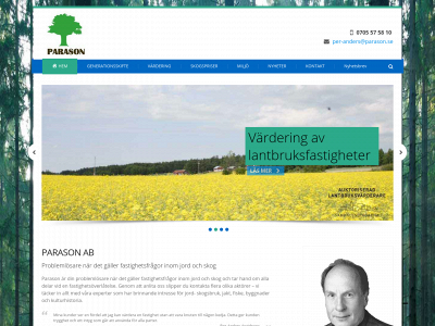 parason.se snapshot