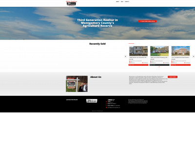 brianjamisonrealestate.com snapshot
