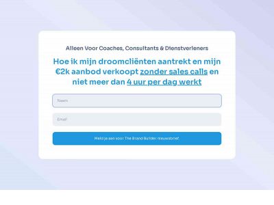 thebrandbuilder.info snapshot