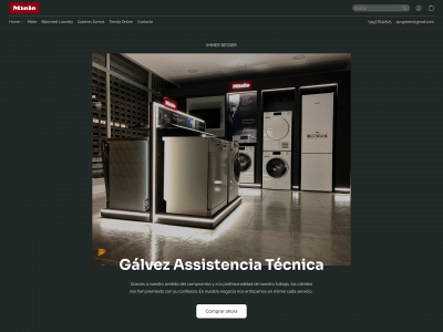 asistenciagalvez.es snapshot