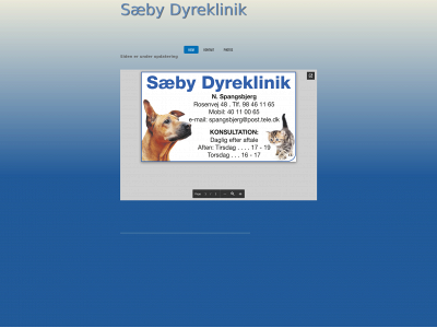 saebydyreklinik.dk snapshot