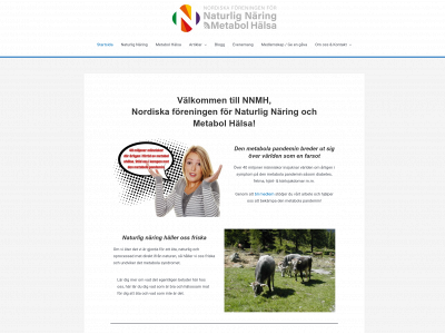nnmh.se snapshot