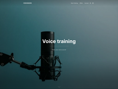 voicession.com snapshot