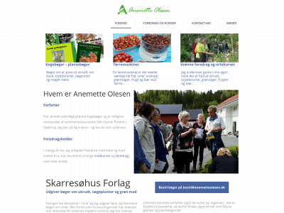 anemetteolesen.dk snapshot
