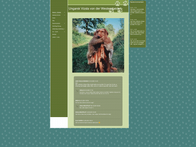 ungarskvizsla.com snapshot