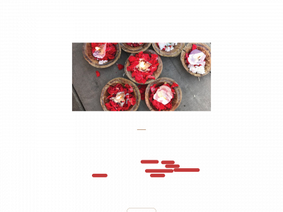 careforjoy.org snapshot