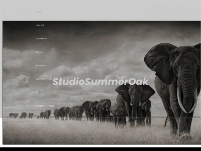studiosummeroak.nl snapshot