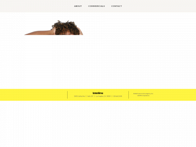 lemonlimeagency.com snapshot