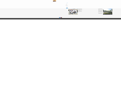 rizilient.org snapshot