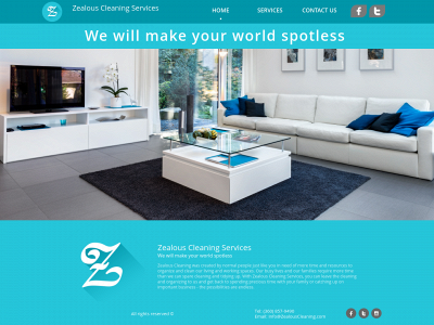 zealouscleaning.com snapshot