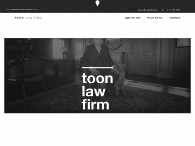 toonlawfirm.com snapshot