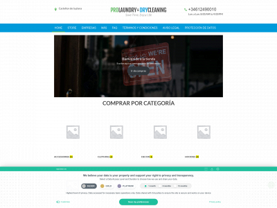 rapiclean.es snapshot