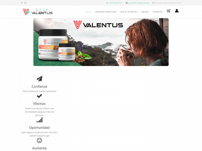 grupvalentus.es snapshot