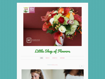 littleshopweddingflowers.com snapshot
