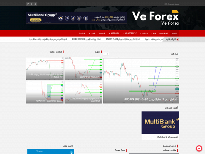 veforex.com snapshot